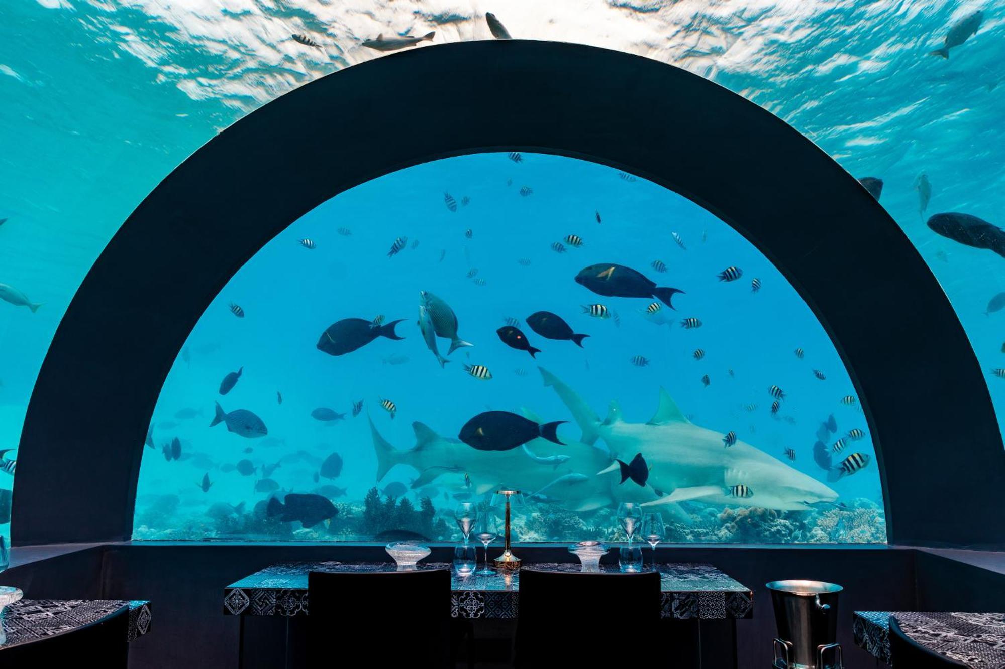 You & Me Maldives - Adults Only - Premium All-Inclusive Muravandhoo Luaran gambar